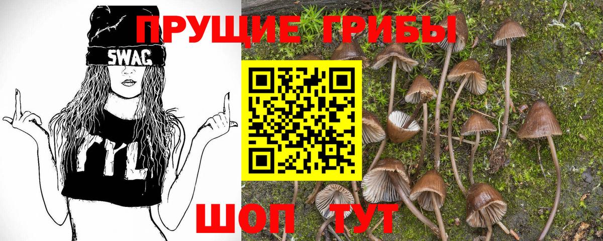 Псилоцибиновые грибы мухоморы  Вход с VPN  Алексеевка 